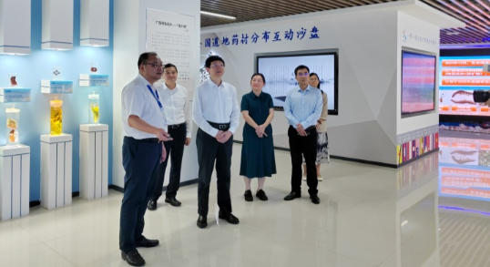 李利在广西调研药品监管“十五五”规划工作