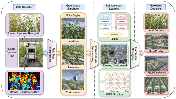 数字孪生系统助力温室番茄采摘机器人提质增效